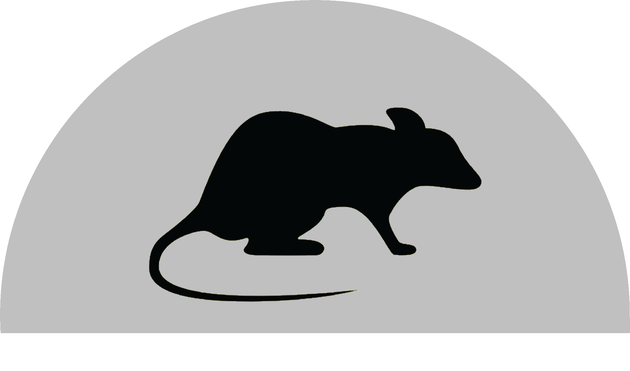 rodent-silver-icon
