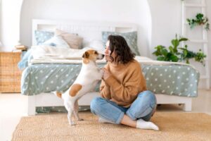 a person playing with their dog at home